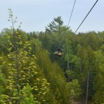 zipline door county