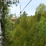 ziplining above wisconsin forest